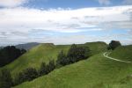 Image of PAPAMOA HILLS REGIONAL PARK ~ TE RAE O PAPAMOA - Tauranga / Te Puke